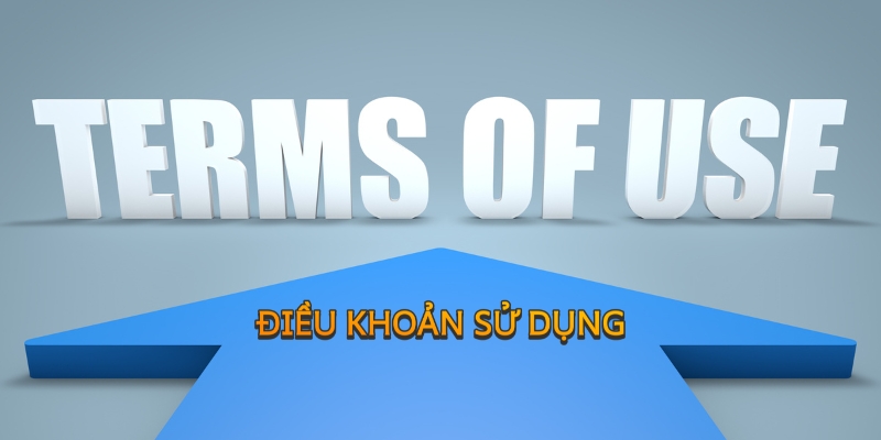 Điều khoản sử dụng giúp bảo vệ quyền lợi người chơi