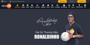 Giới thiệu thông tin về nhà cái New88