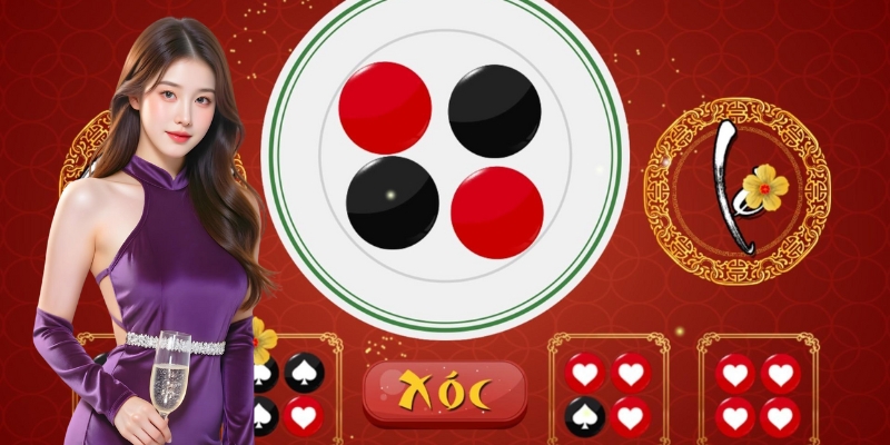 Tiêu chí lựa chọn nhà cái cá cược xóc đĩa online